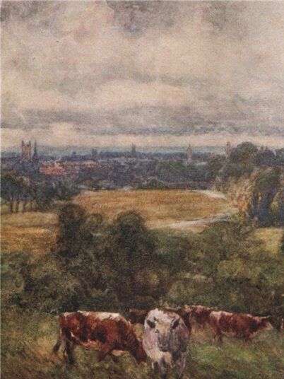From the Campion Hills 1906 (Frederick Whitehead) 1906